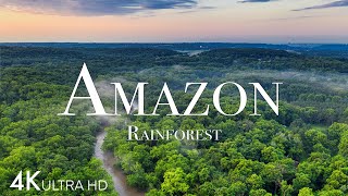 Amazon in 4K  The World’s Largest Tropical Rainforest  Aerial Drone  Scenic Relaxation Film [upl. by Octavius]