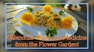 Calendula Description  Edible Flower with Medicinal Benefits [upl. by Bogosian]