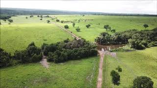 FAZENDA À VENDA ARAGUAÍNATO [upl. by Ytte688]