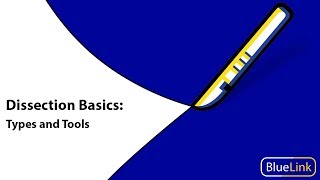 Dissection Basics  Types and Tools [upl. by Annawd]