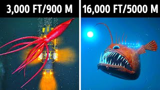 Fascinating 3D Journey to the Ocean Depths [upl. by Ellenrahs]