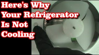 Refrigerator Not Cooling But Freezer Is Fine [upl. by Ardnazxela748]