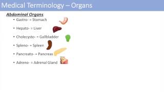 Medical Terminology  The Basics  Lesson 1 [upl. by Lenod]