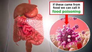 The dangers of E coli [upl. by Chapnick]