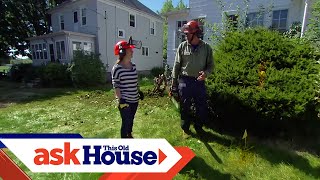 How to Remove Overgrown Foundation Shrubs  Ask This Old House [upl. by Ahsakal]