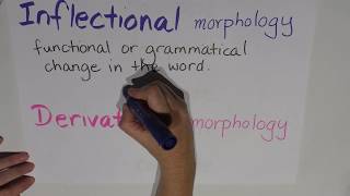 Episode 6  Morphology  Inflectional vs derivational [upl. by Reena]