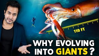 Why Are SEA CREATURES Evolving into Giants [upl. by Letnwahs]