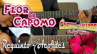 Tutorial  Flor de capomo  Los Cadetes de Linares  Requinto  Acordes  TABS [upl. by Talbot96]