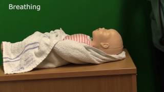 Neonatal Resuscitation  Demonstration [upl. by Gall]