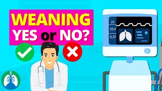 Ventilator Settings for Weaning TMC Practice Question  Respiratory Therapy Zone [upl. by Howlond]