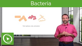 Bacteria Structure amp Types – Microbiology  Lecturio [upl. by Auerbach340]