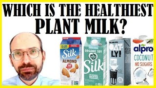 What Is The Healthiest Plant Milk [upl. by Nylsej249]