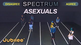 Do All Asexuals Think the Same  Spectrum [upl. by Alraep]