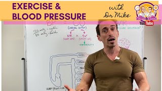 Exercise amp Blood Pressure [upl. by Uht]