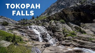 Tokopah Falls Trail in Sequoia National Park [upl. by Cassi238]