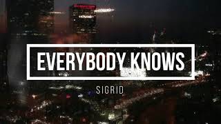 Everybody knows  Sigrid  1 hour [upl. by Akihdar]