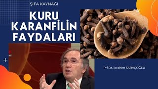 KARANFİLİN FAYDALARI  Karanfil Nelere Faydalı [upl. by Stacee]