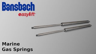 Marine Gas Springs [upl. by Doehne]