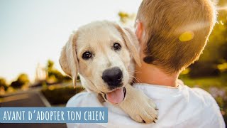 ADOPTER UN CHIENCHIOT CE QUIL FAUT SAVOIR AVANT [upl. by Strohben597]