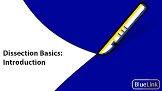 Dissection Basics  Introduction [upl. by Eneleh510]