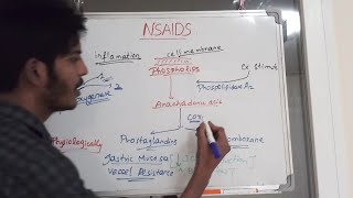 NSAIDs Pharmacology [upl. by Ainotal162]