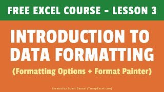 FREE EXCEL COURSE Lesson 3  Data Formatting in Excel [upl. by Nahtonoj]