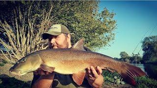 Barbel Fishing On The River Severn  Manic Session [upl. by Anerdna]