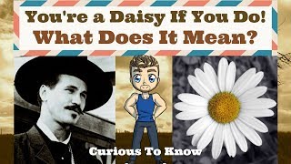 Youre a Daisy If You Do Meaning  Curious To Know [upl. by Greggs581]