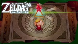 Face Shrine Dungeon Walkthrough  Zelda Links Awakening for Switch ᴴᴰ [upl. by Arbuckle]