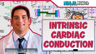 Cardiovascular  Blood Pressure Regulation  Hypotension [upl. by Mundy]