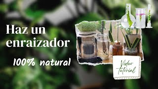 Haz un enraizador casero 100 natural 2021 [upl. by Krid]