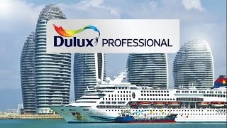 Introducing Dulux Professional [upl. by Yenaffit]