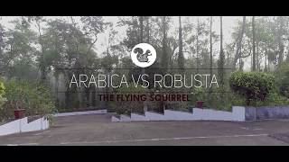 Arabica Vs Robusta Coffee [upl. by Rochkind]