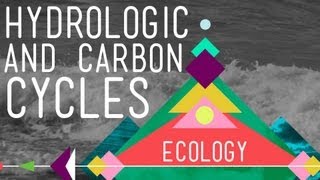 The Hydrologic and Carbon Cycles Always Recycle  Crash Course Ecology 8 [upl. by Tait]