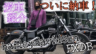 【バイク女子】ついにハーレー納車‼︎愛車紹介♪女子でもハーレーは乗れるのか⁉︎足つきなども紹介してます [upl. by Aneed366]