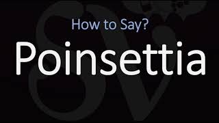 How to Pronounce Poinsettia CORRECTLY [upl. by Akiria]