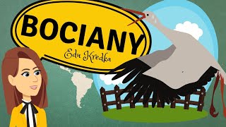 EduKredka – BOCIANY  Film edukacyjny DLADZIECI 10 [upl. by Karlise242]