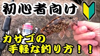 【誰でも簡単】カサゴ（ガシラ）の手軽な釣り方を紹介します！！ 堤防や漁港からの根魚の穴釣りは非常に簡単ですので、釣り入門者の方にもおすすめです！！【ブラクリ】【パワーイソメ】 [upl. by Esialb]