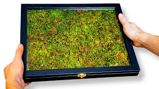 DIY Living Moss Picture Frame Relaxing Tutorial [upl. by Thissa]