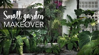 Small tropical garden 20sqft makeover with 10 Pro Gardening Tips [upl. by Norat930]