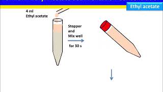 Fecal Sedimentation Concentration FormalinEthyl Acetate Method [upl. by Htennek]