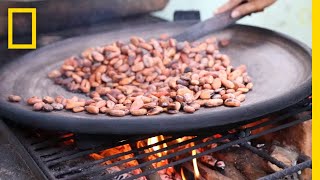 Watch the Ancient Art of ChocolateMaking  National Geographic [upl. by Harding]