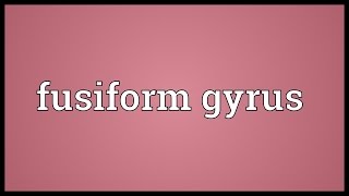 Fusiform gyrus Meaning [upl. by Strephon294]