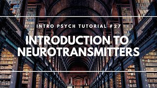 Introduction to Neurotransmitters Intro Psych Tutorial 27 [upl. by Pussej]