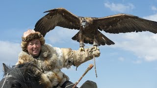 Il dresse un aigle pour chasser à sa place  ZAPPING NOMADE [upl. by Cuthbertson825]