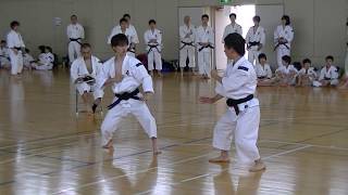 Shorinji Kempo JAPAN Cool fighters [upl. by Inajna]