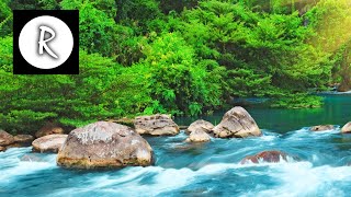 Relaxing Nature Sounds  Water Sound 24 Hours Gentle River amp Stream [upl. by Bej711]