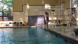 Teach a Flip for Springboard Diving [upl. by Manno842]