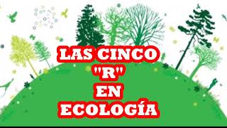 Las 5 quotRquot en Ecología [upl. by Niattirb]