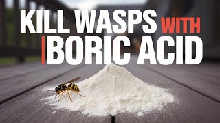 How to Kill Wasps with Boric Acid and Wasp Nest Decoy DIY [upl. by Ardnoek382]